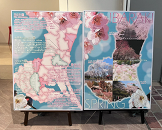 ２月パネル写真